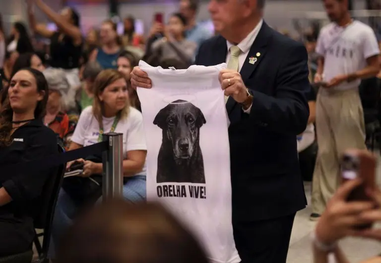 Governo aumenta multas por maus-tratos a animais após caso “Orelha”