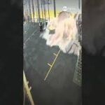 Enxurrada rompe parede de academia durante temporal em São Paulo