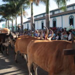 Romaria do Divino Pai Eterno começa e movimenta Trindade