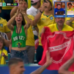 Torcedores exibem bandeira do Vila Nova durante jogo da Seleção Brasileira