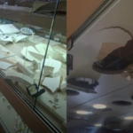 Joalheria é invadida e furtada dentro de shopping em Goiânia